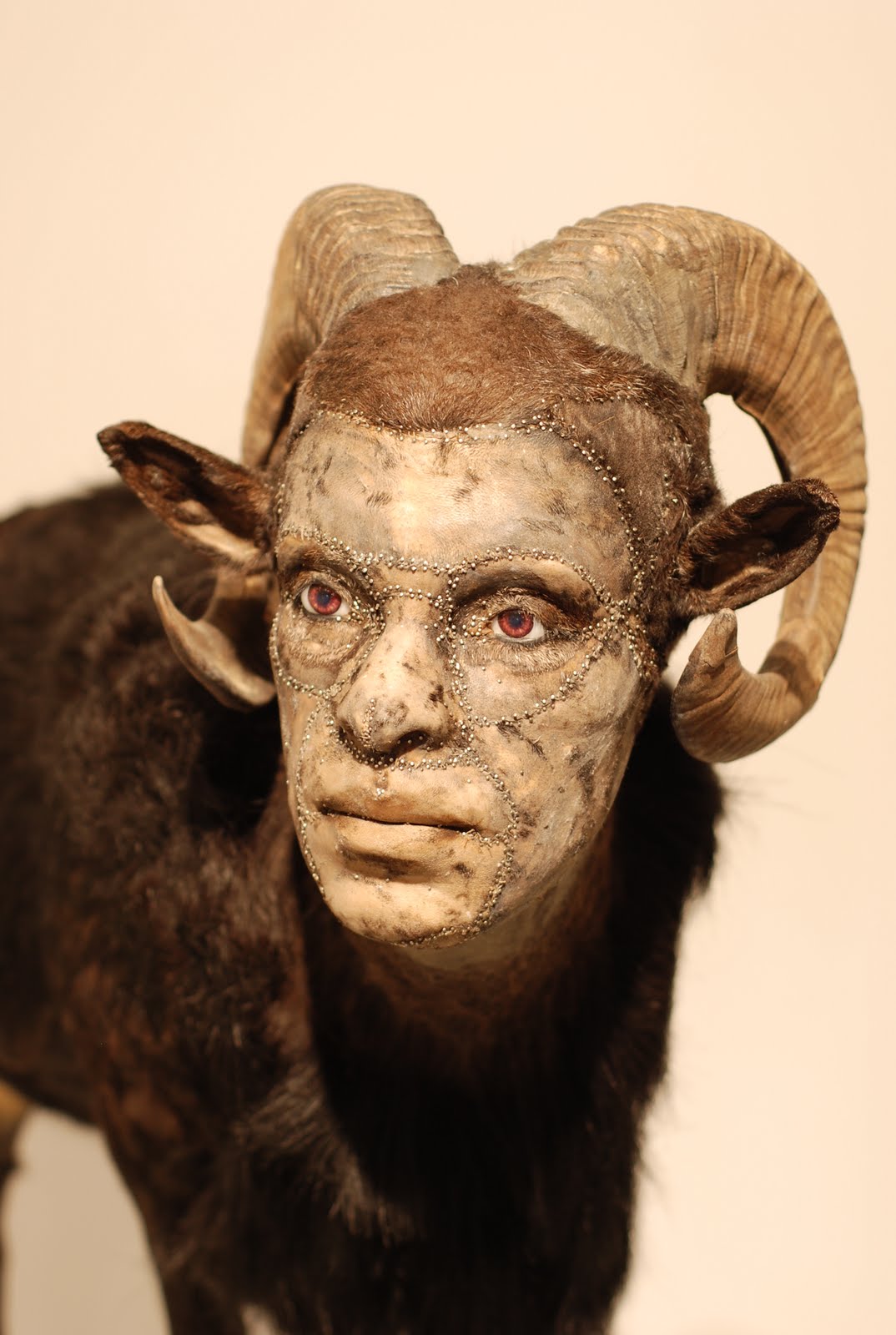 Kate Clark taxidermie art